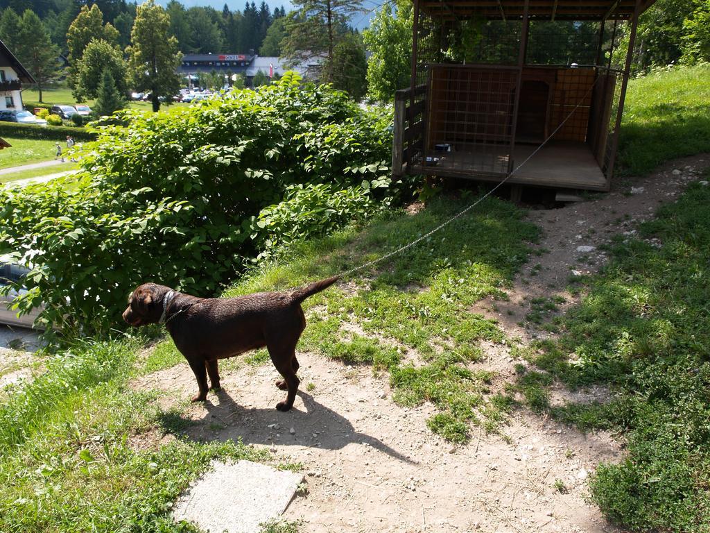 Penzion Rozic Bohinj Extérieur photo