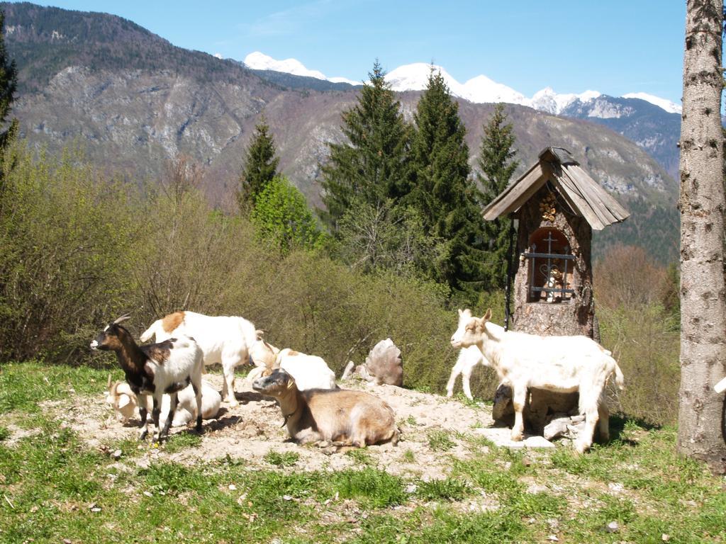 Penzion Rozic Bohinj Extérieur photo